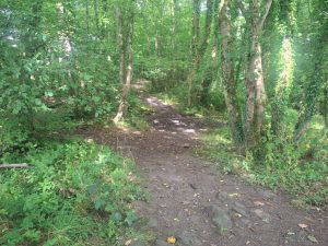 3 Plots of Woodland South of Drumfork Road, Helensburgh G84 7JW